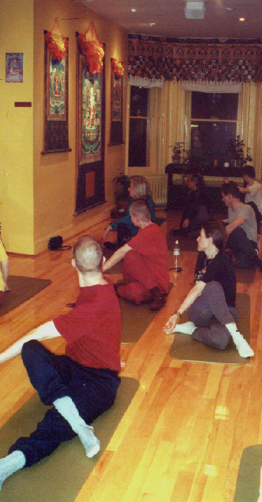 yoga2.jpg (312977 bytes)